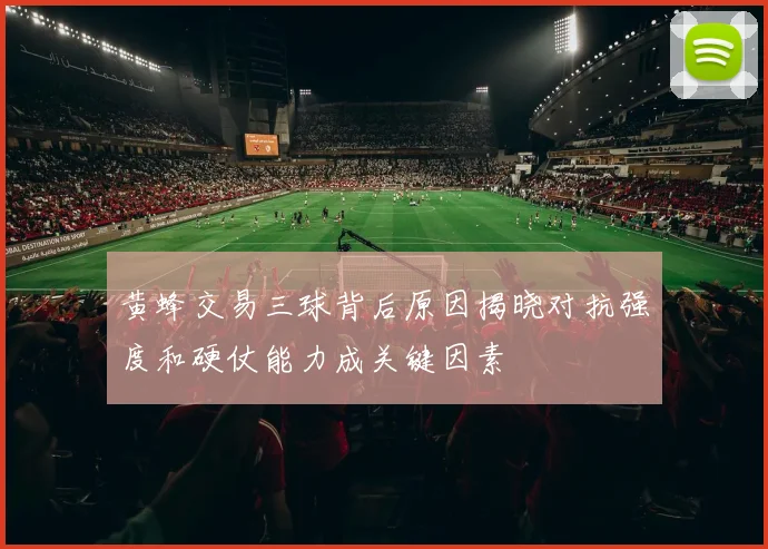 黄蜂交易三球背后原因揭晓对抗强度和硬仗能力成关键因素